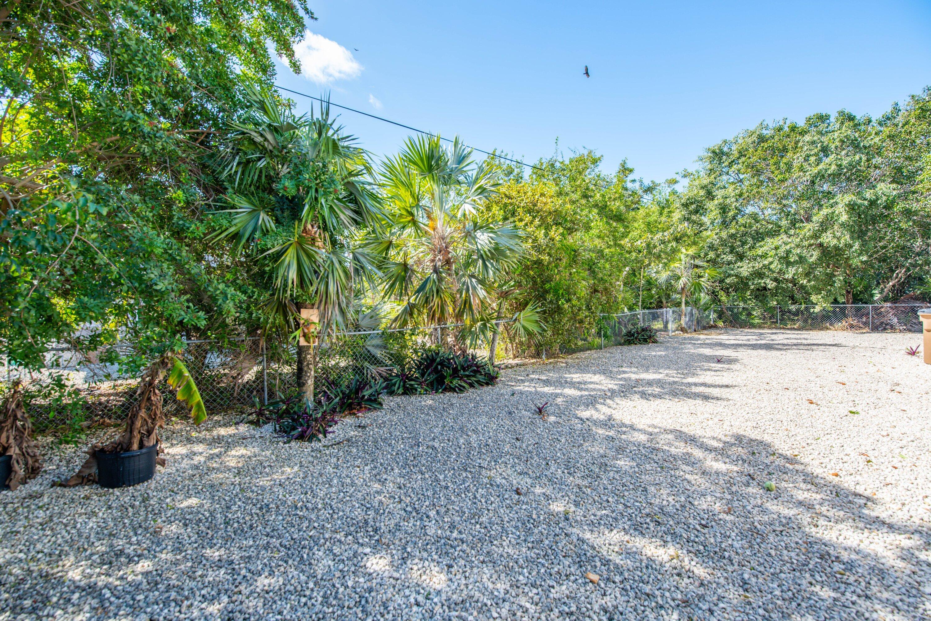 29160 Primrose Lane Big Pine Key, FL 33043 - Photo 26 of 37 a view of a field with plants and trees