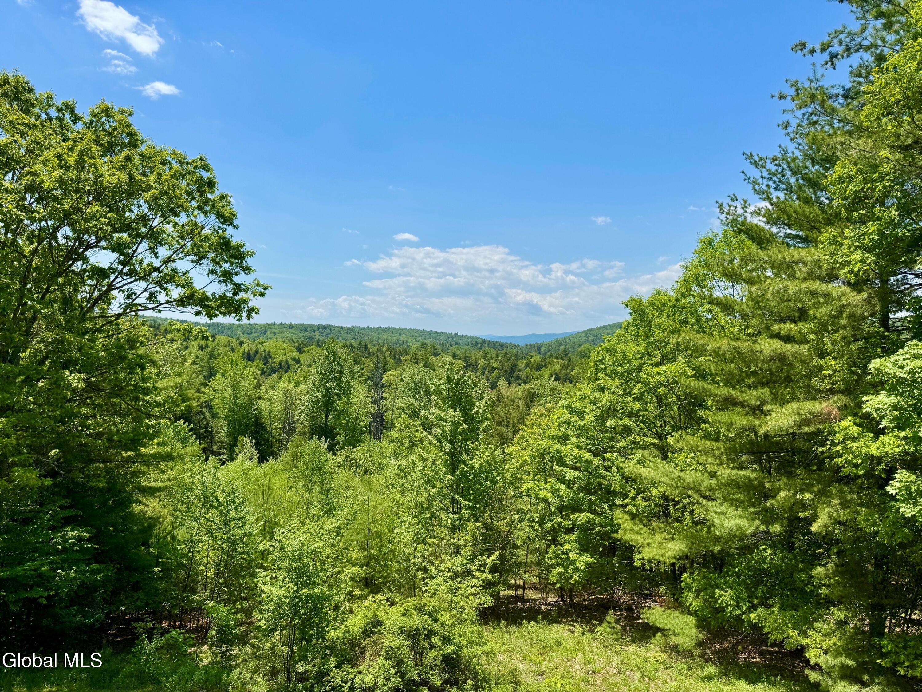 17 Ridgecrest Way Whitehall, NY 12887 - Photo 8 of 56 Doug 43