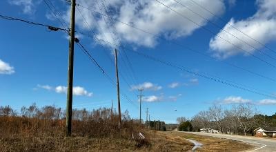 0 St Highway Slocomb, AL 36375 - Photo 6 of 8