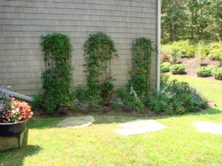 8 B Clambelly Road Chilmark, MA 02535 - Photo 30 of 31 Gallery Image 30
