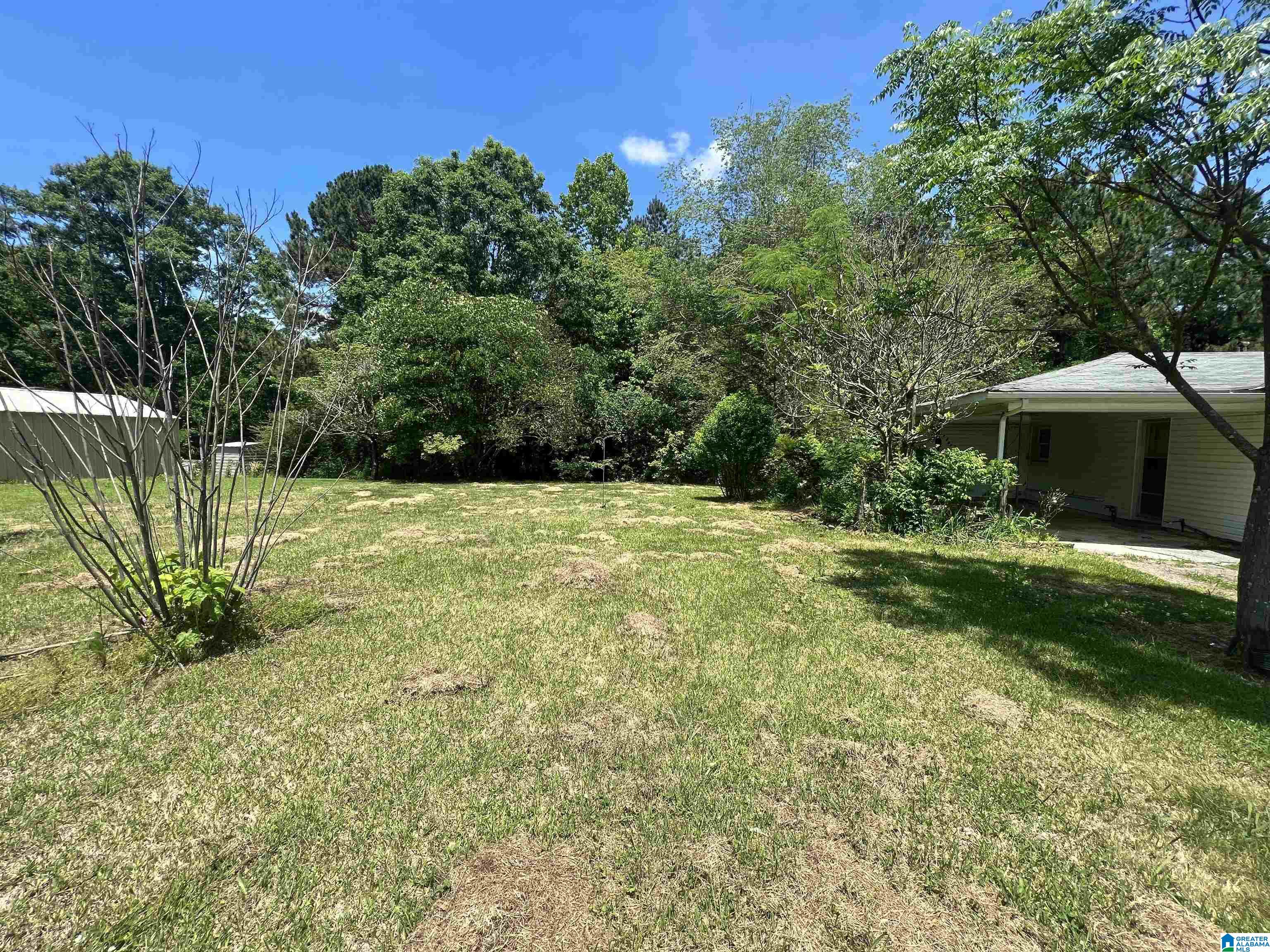 122 Mooney Road Columbiana, AL 35051 - Photo 5 of 9