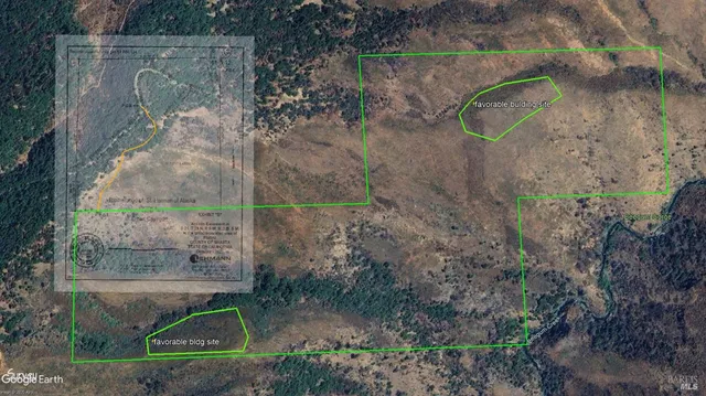 a close up of a shower curtain