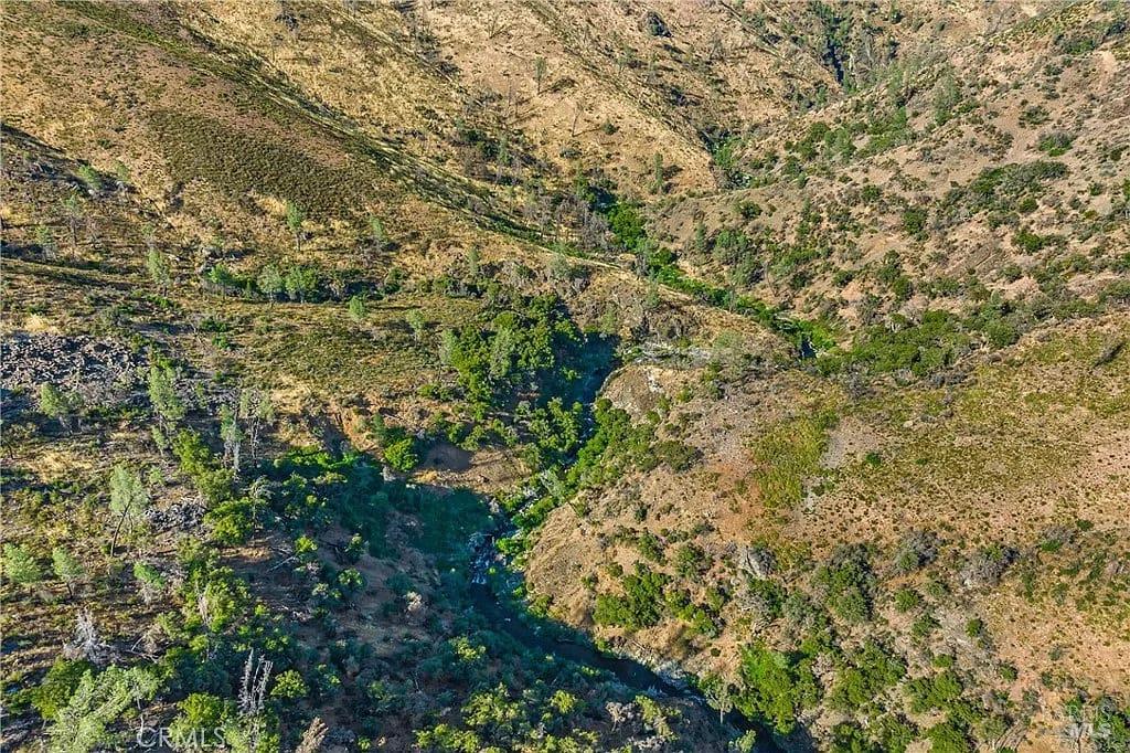 0 Beegum Gorge Road Platina, CA 96076 - Photo 13 of 23 a view of a yard
