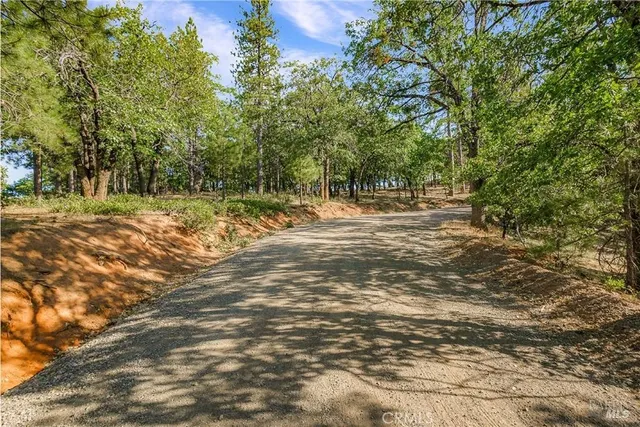 a view of a tree in a yard