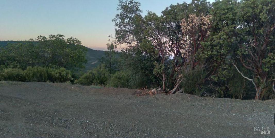 0 Beegum Gorge Road Platina, CA 96076 - Photo 15 of 23 a view of outdoor space with trees