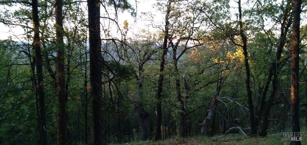 0 Beegum Gorge Road Platina, CA 96076 - Photo 17 of 23