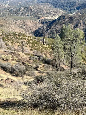 a view of water from a yard