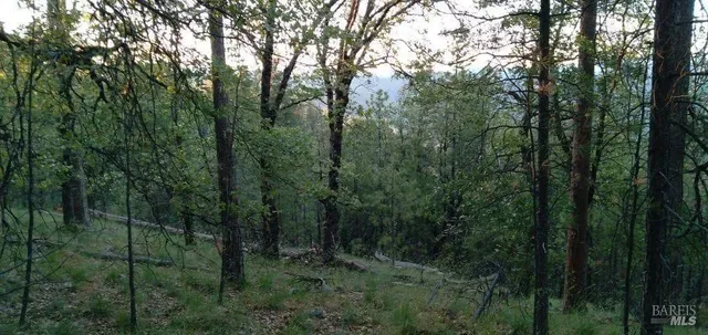 $249,000 | 0 Beegum Gorge Road, Platina, CA 96076