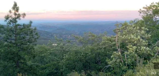 a view of a big yard with lots of green space and trees all around