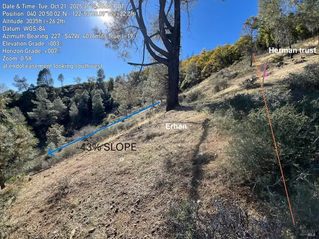 a view of a dry yard