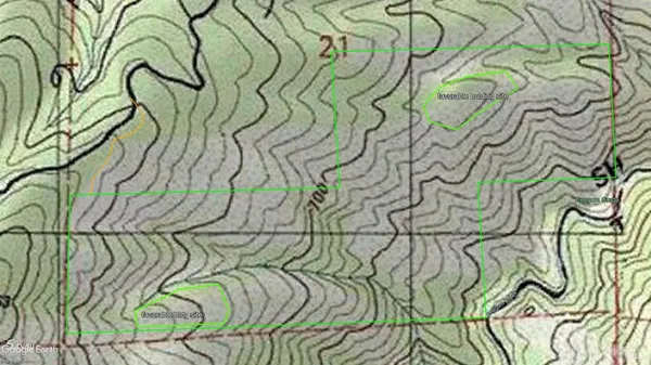 a close up of a shower curtain