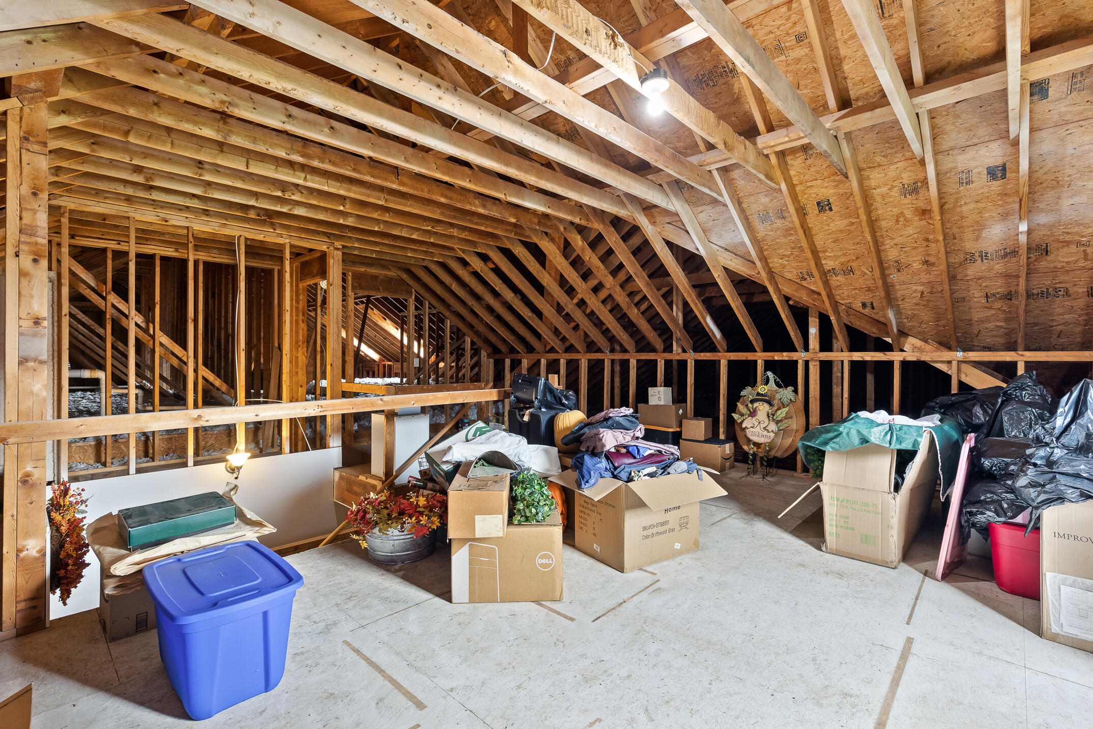 3204 Bluff Drive Cleveland, TN 37312 - Photo 63 of 74 Walk-up attic storage