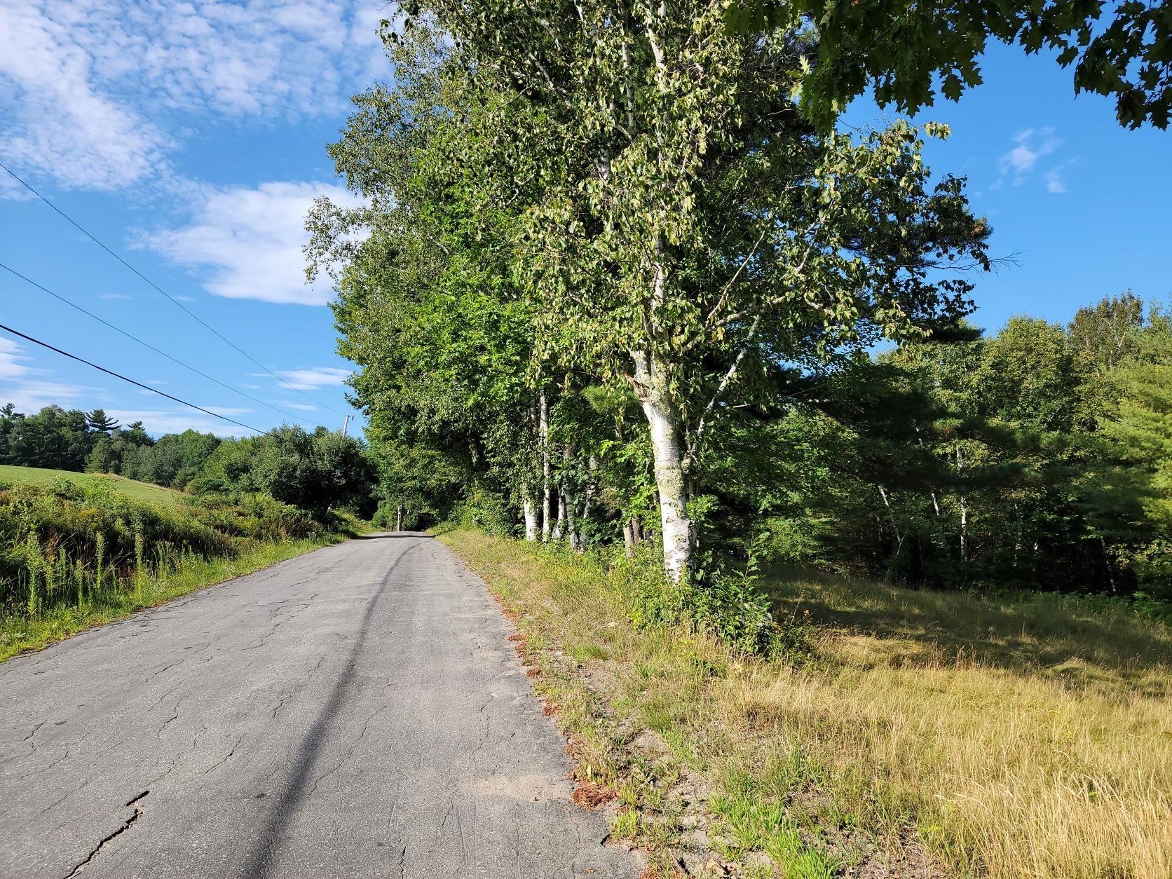 Lot 24 Pearl Lake Road Landaff, NH 03585 - Photo 12 of 34 Gallery Image 12