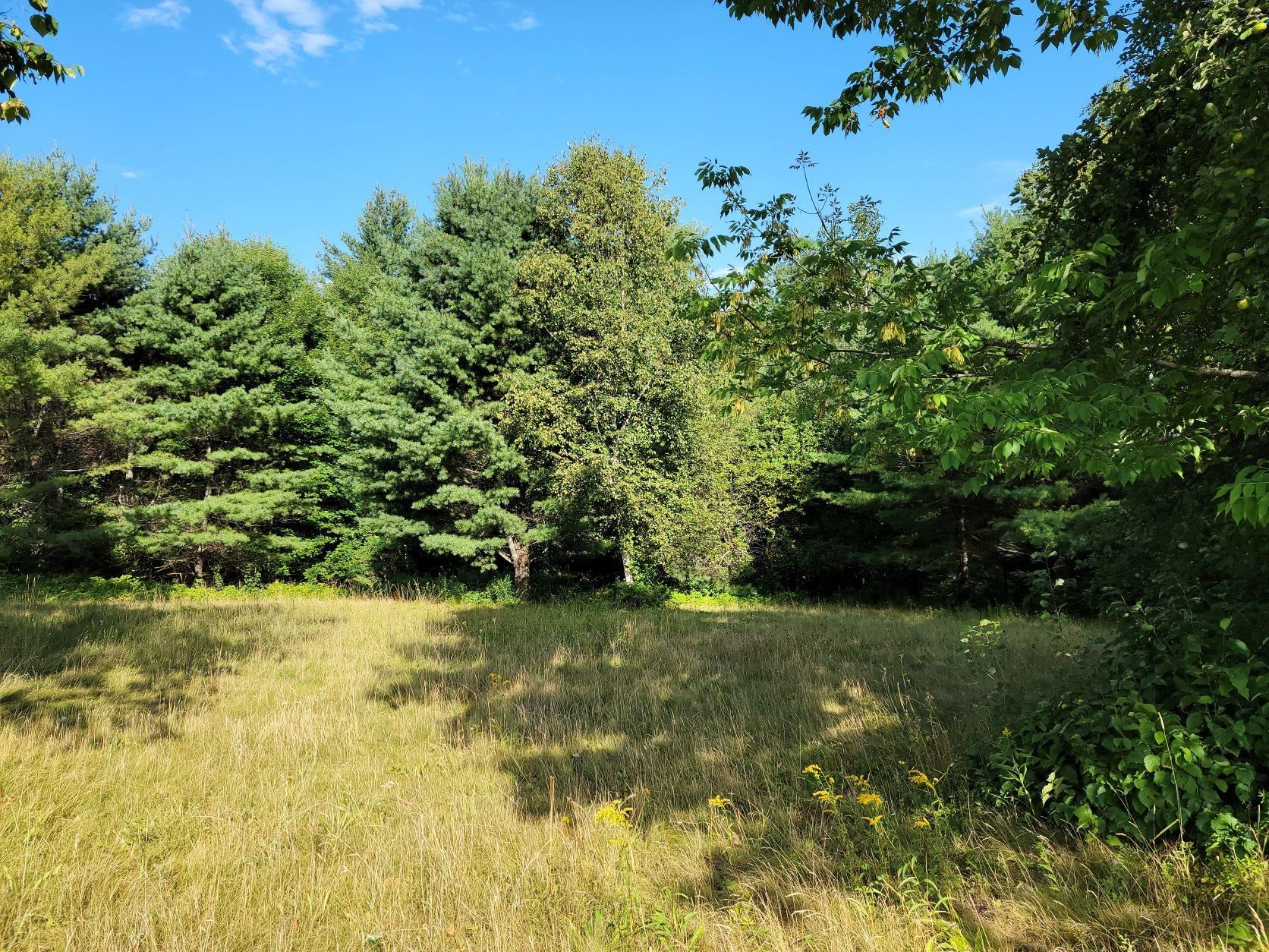 Lot 24 Pearl Lake Road Landaff, NH 03585 - Photo 3 of 34 Gallery Image 3