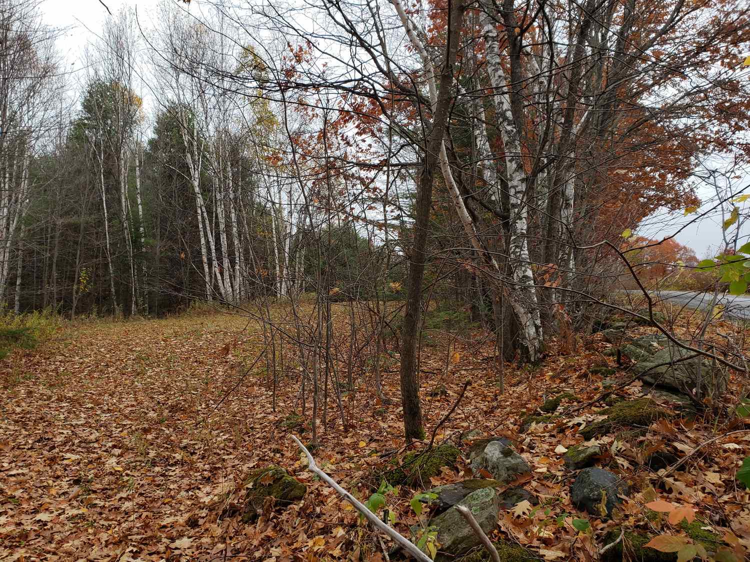 Lot 24 Pearl Lake Road Landaff, NH 03585 - Photo 34 of 34 Gallery Image 34