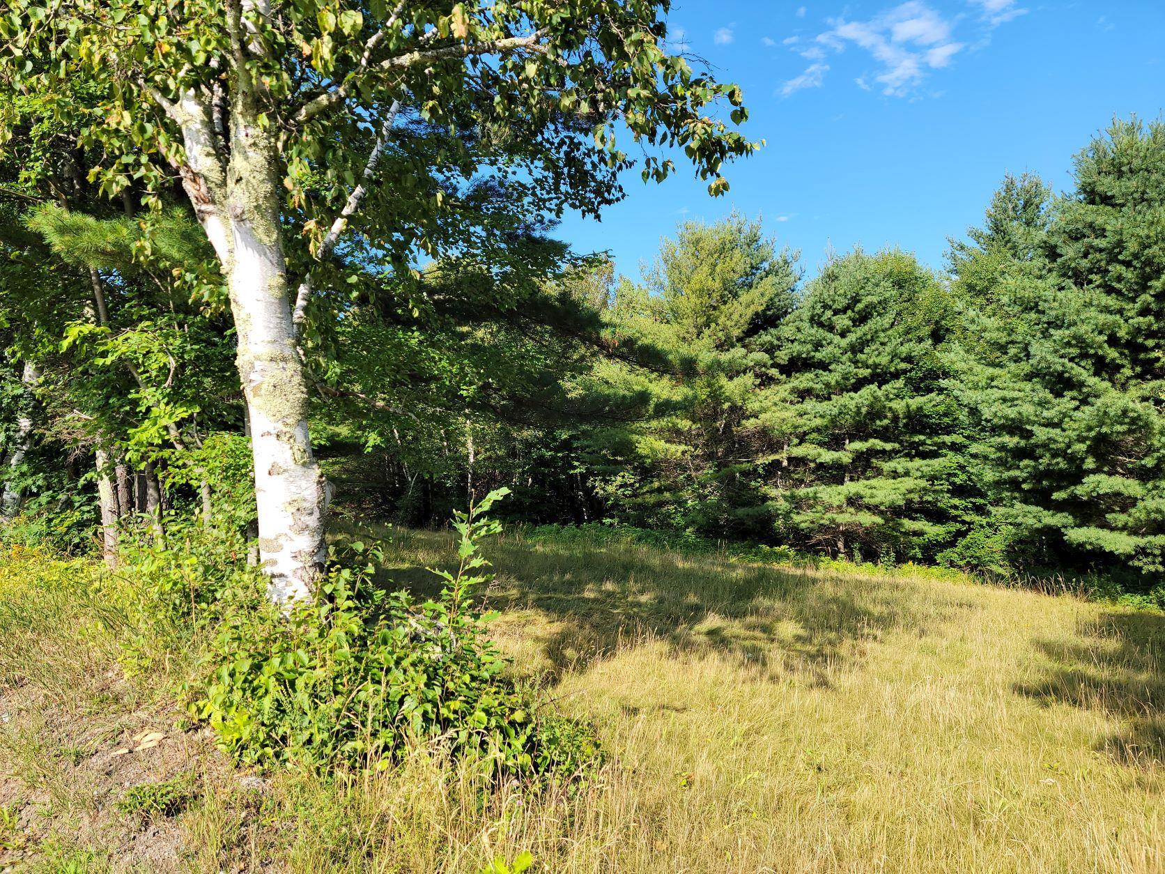 Lot 24 Pearl Lake Road Landaff, NH 03585 - Photo 5 of 34 Gallery Image 5
