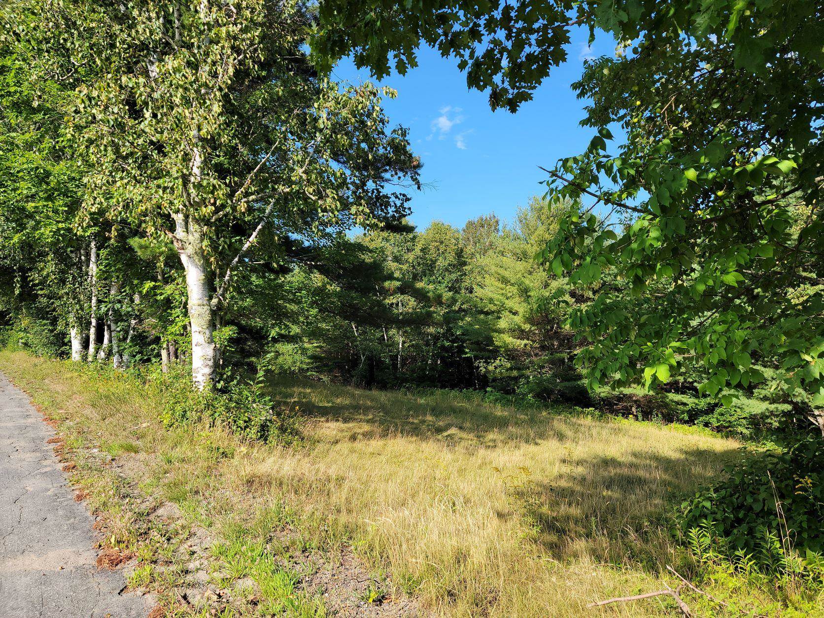 Lot 24 Pearl Lake Road Landaff, NH 03585 - Photo 6 of 34 Gallery Image 6