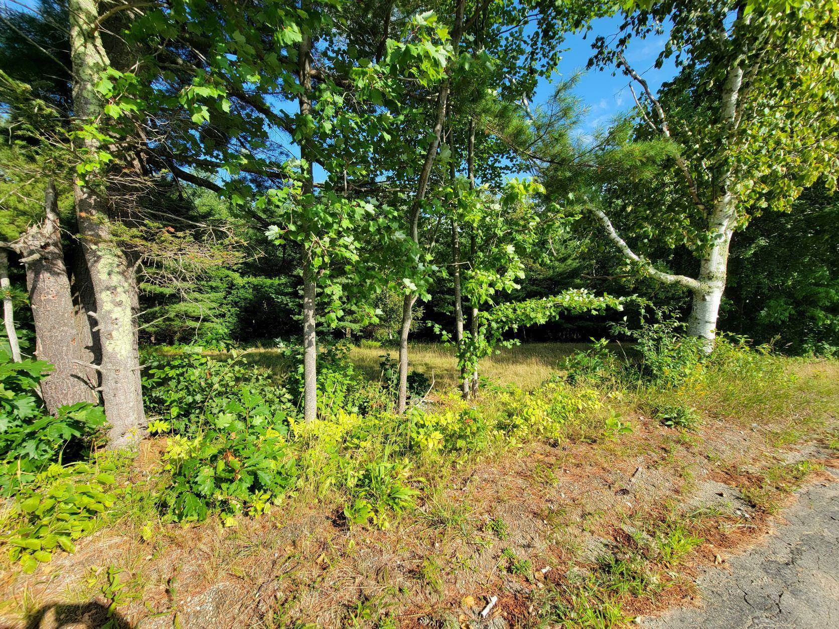 Lot 24 Pearl Lake Road Landaff, NH 03585 - Photo 9 of 34 Gallery Image 9