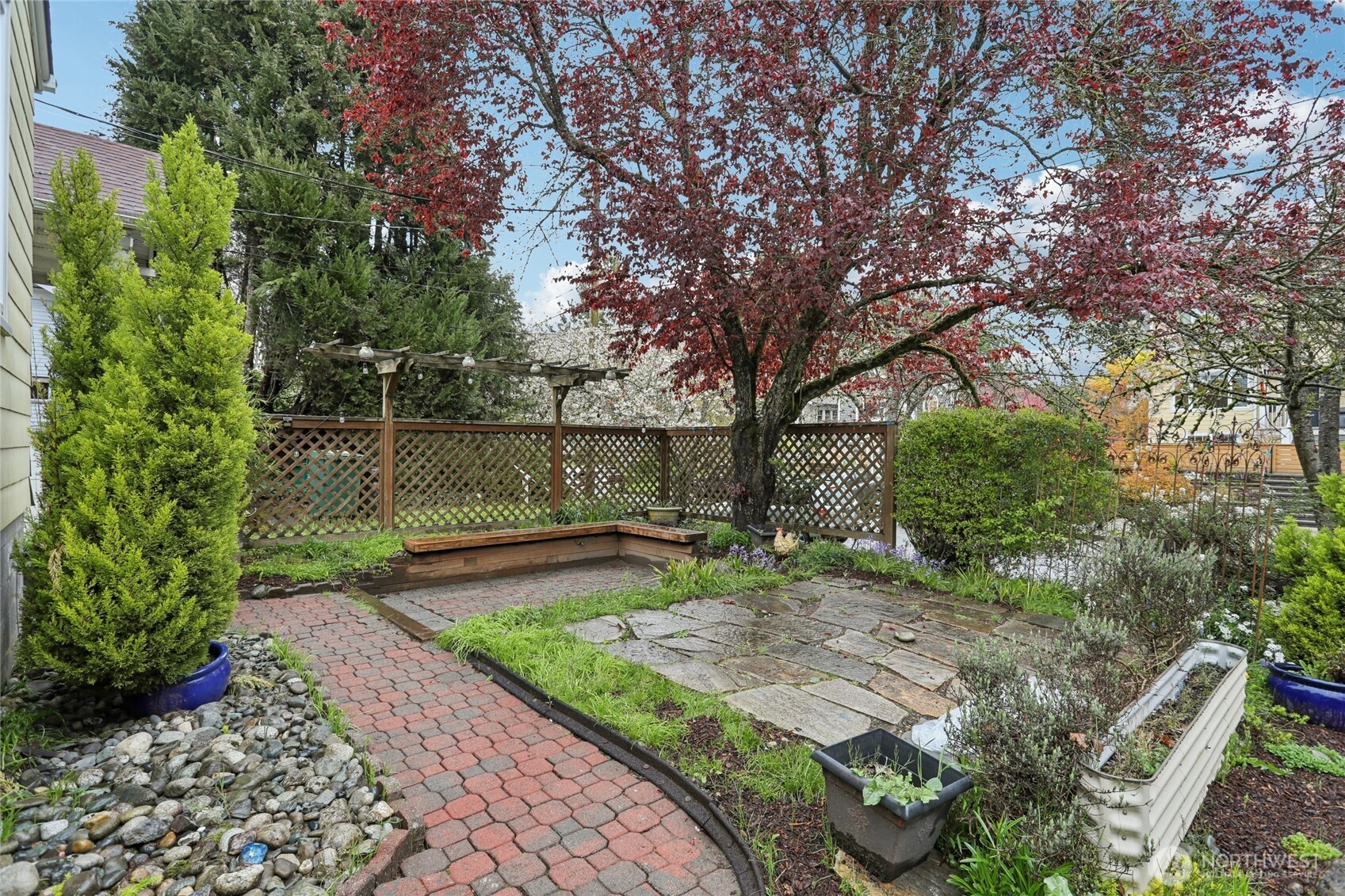 8207 Meridian Avenue North Seattle, WA 98103 - Photo 29 of 34 a view of a backyard with large trees