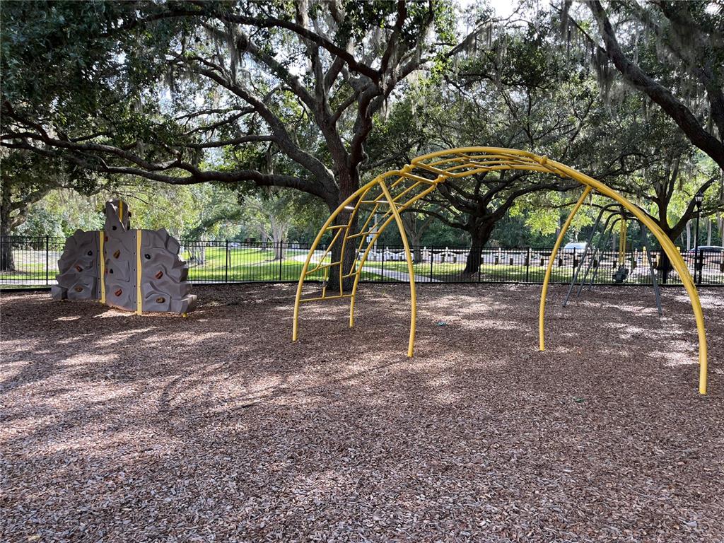 4038 Lithia Ridge Boulevard Valrico, FL 33596 - Photo 45 of 47