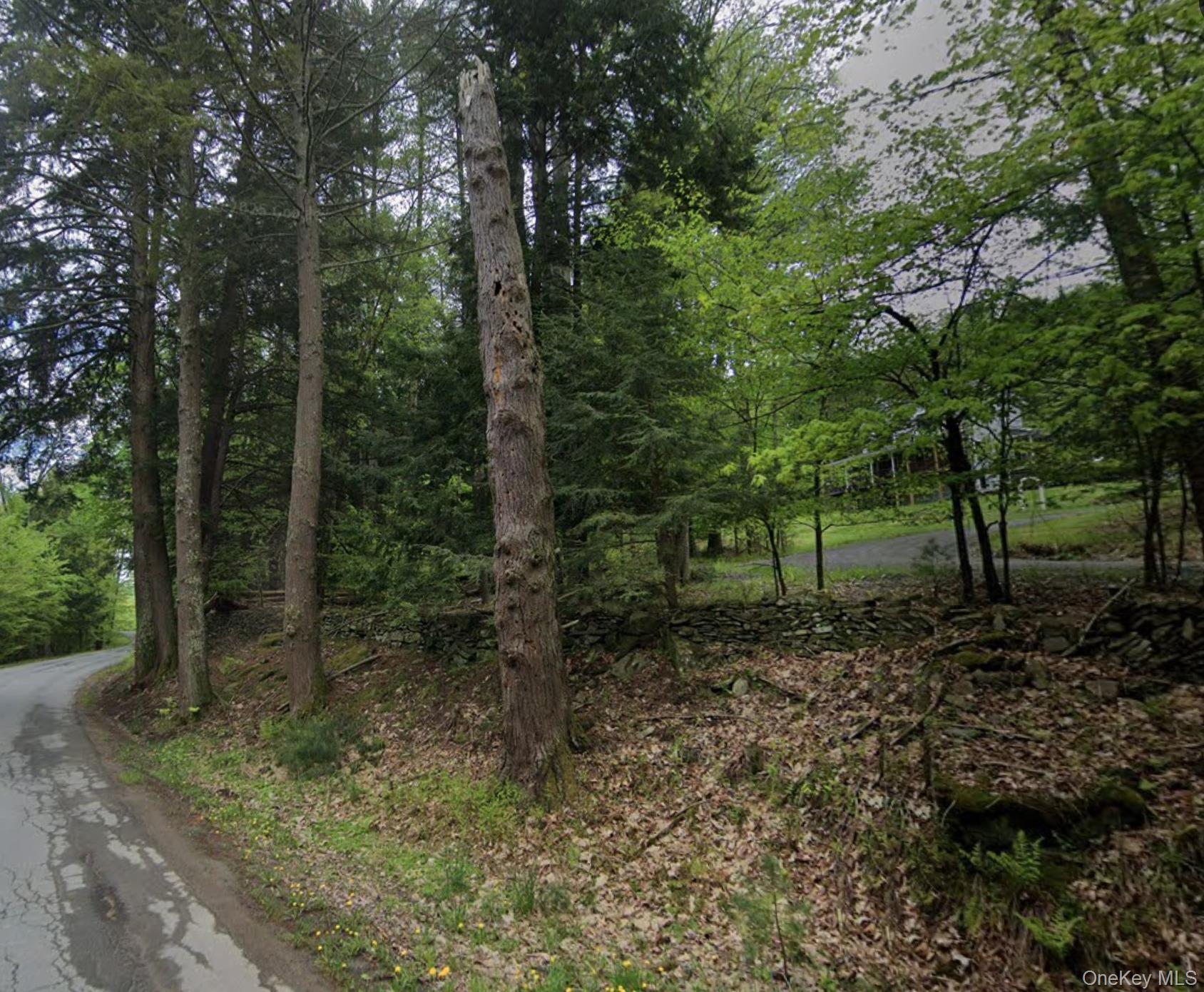 Swallow Trail Bethel, NY 12720 - Photo 1 of 3 a green field with lots of trees