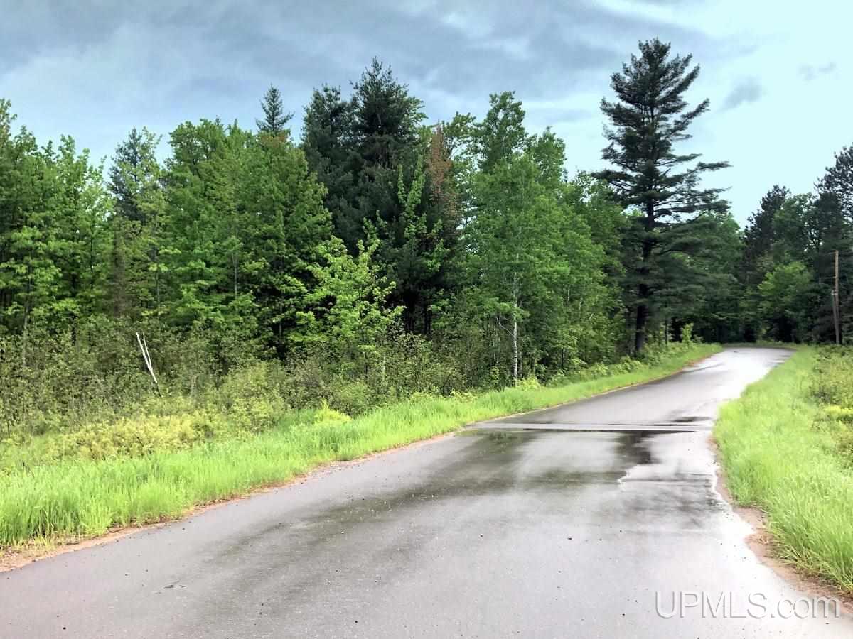 Tbd Co Rd Mt And Mu Palmer, MI 49871 - Photo 3 of 13