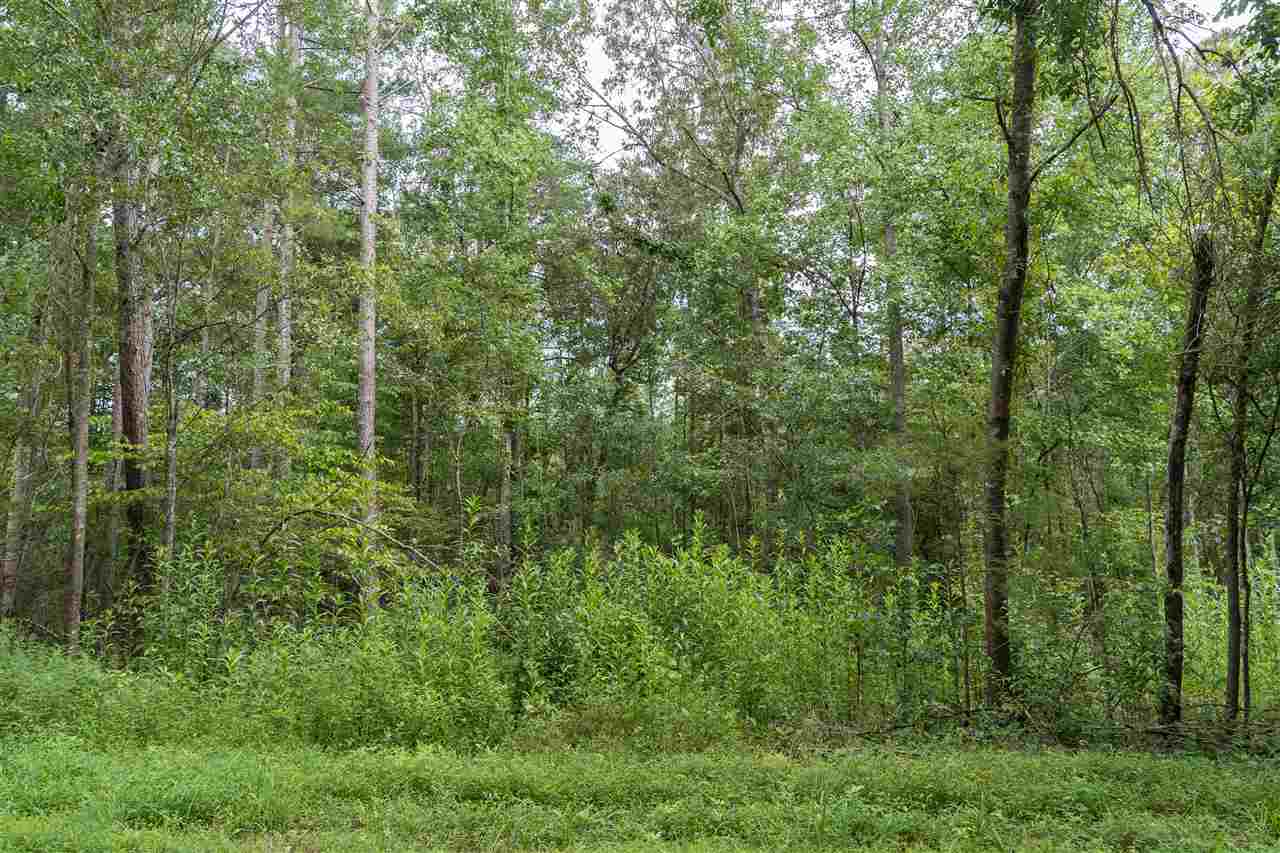 0 Smith Chapel Road Campobello, SC 29322 - Photo 2 of 10