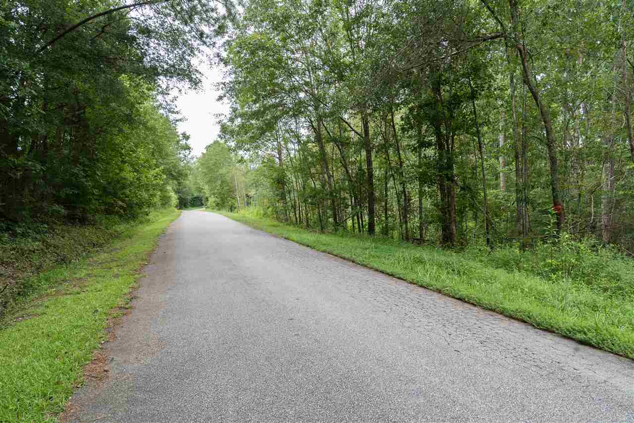 0 Smith Chapel Road Campobello, SC 29322 - Photo 3 of 10