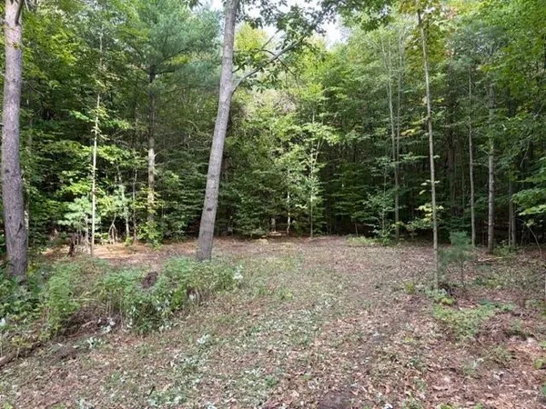 $85,000 | 0 Paradise Ridge Trail, Unit LOT: L, Cedar, MI 49684