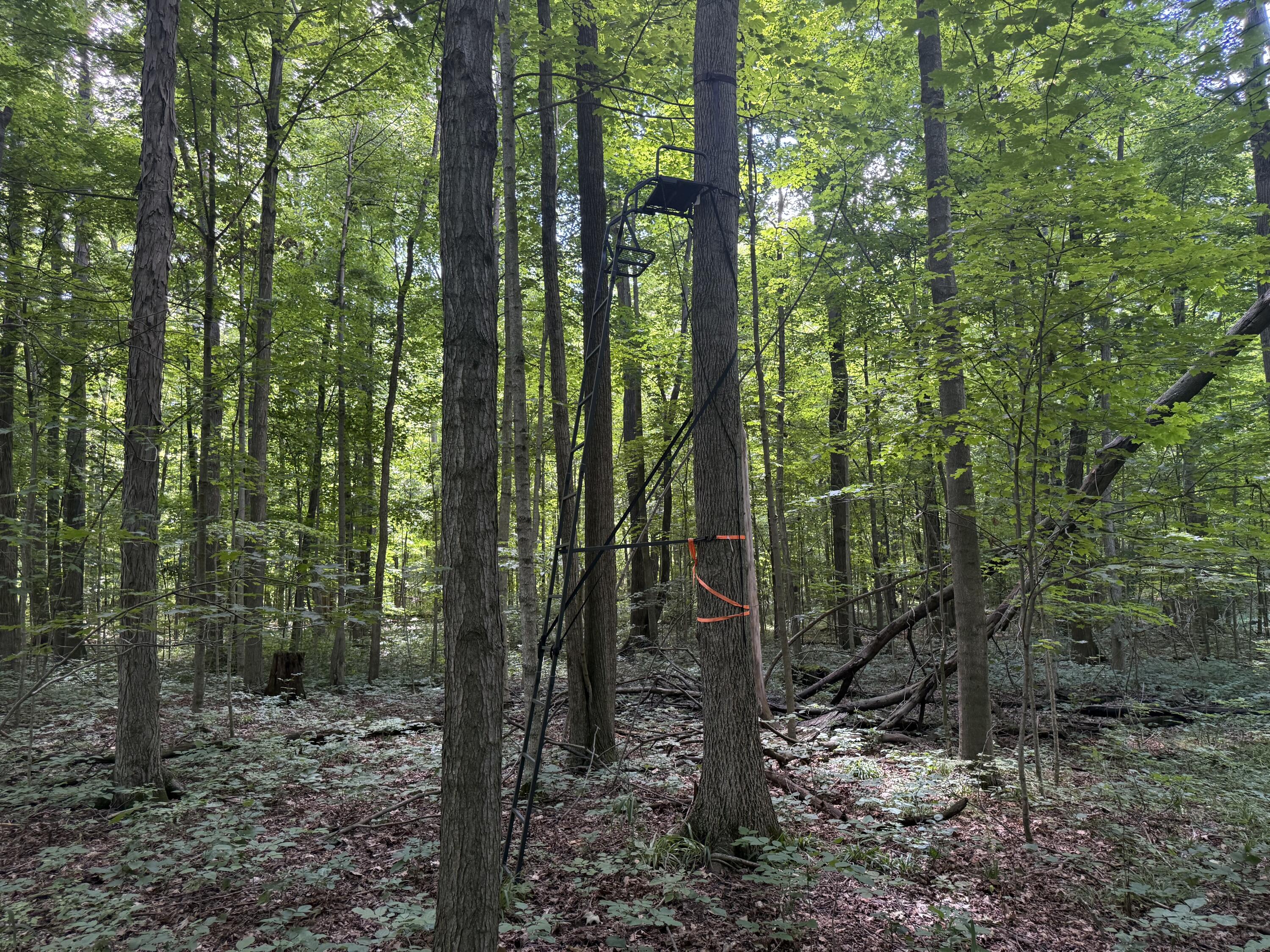 Vl Tamarack Road Pittsford, MI 49271 - Photo 21 of 24 H14