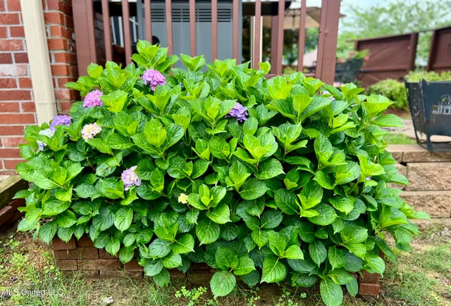 $379,000 | 7231 Wind Drive, Olive Branch, MS 38654