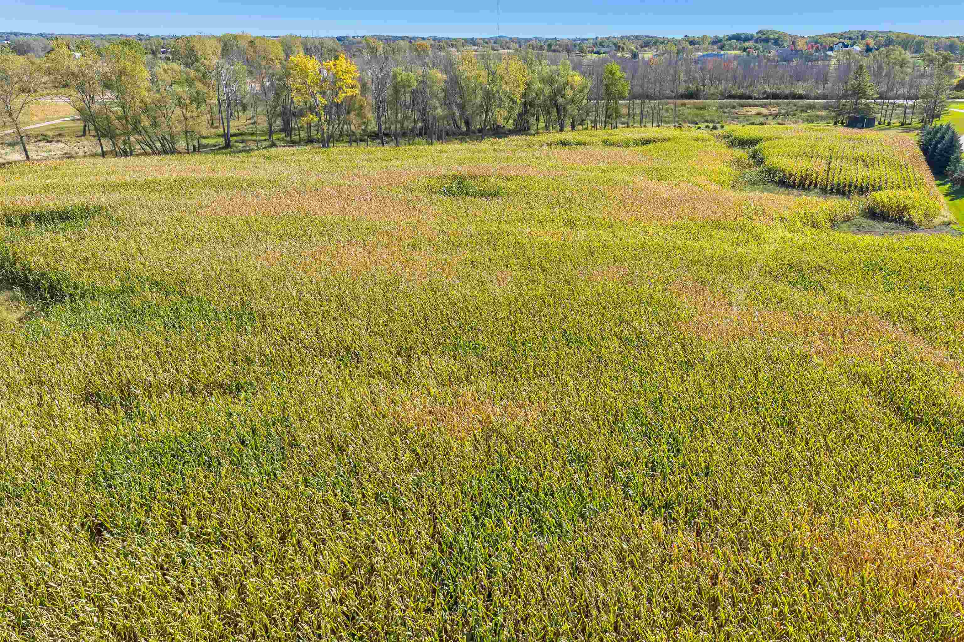 Phillips Rd Green Green Bay, WI 54311 - Photo 3 of 12