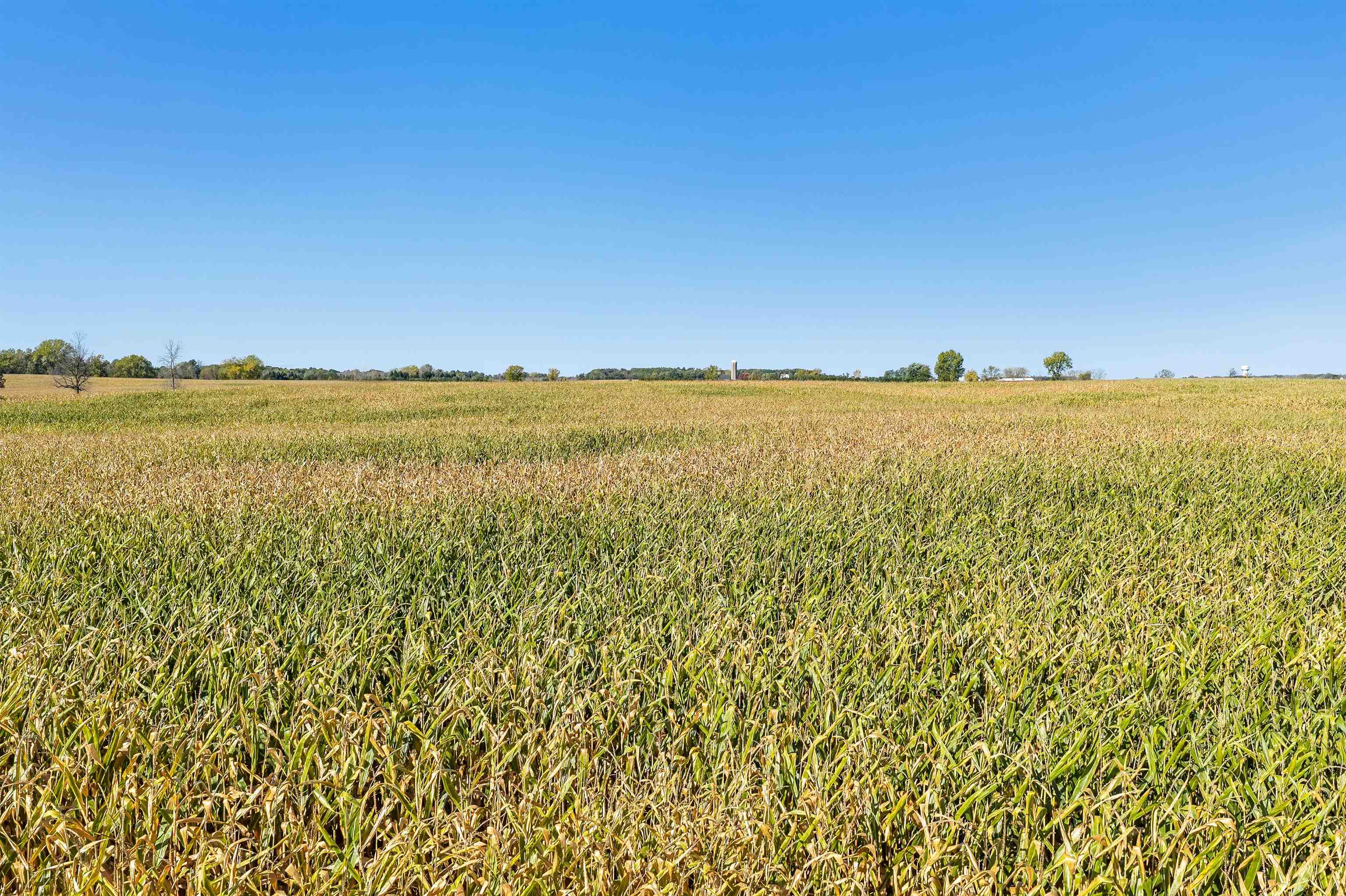 Phillips Rd Green Green Bay, WI 54311 - Photo 4 of 12