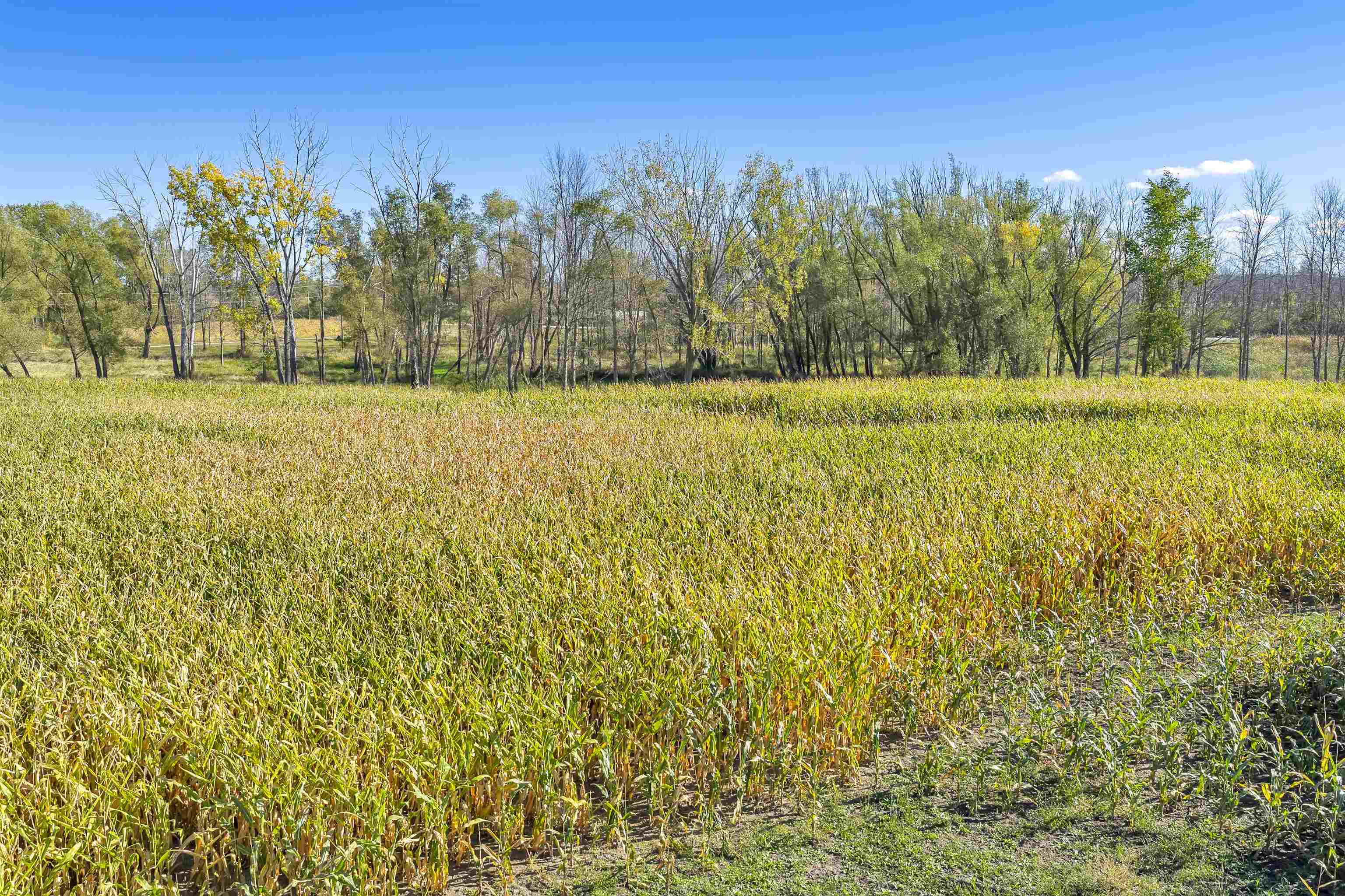 Phillips Rd Green Green Bay, WI 54311 - Photo 5 of 12