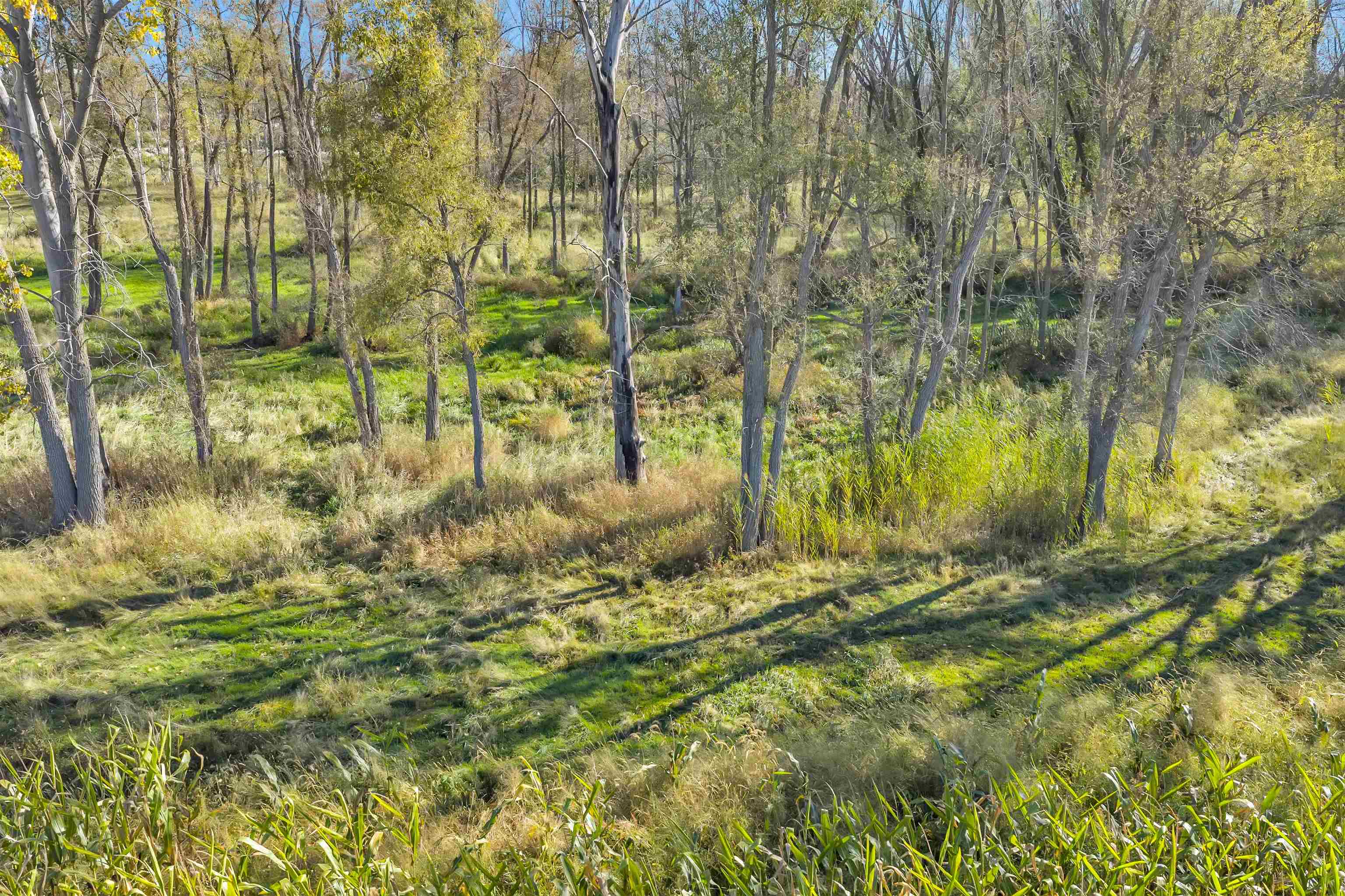 Phillips Rd Green Green Bay, WI 54311 - Photo 6 of 12