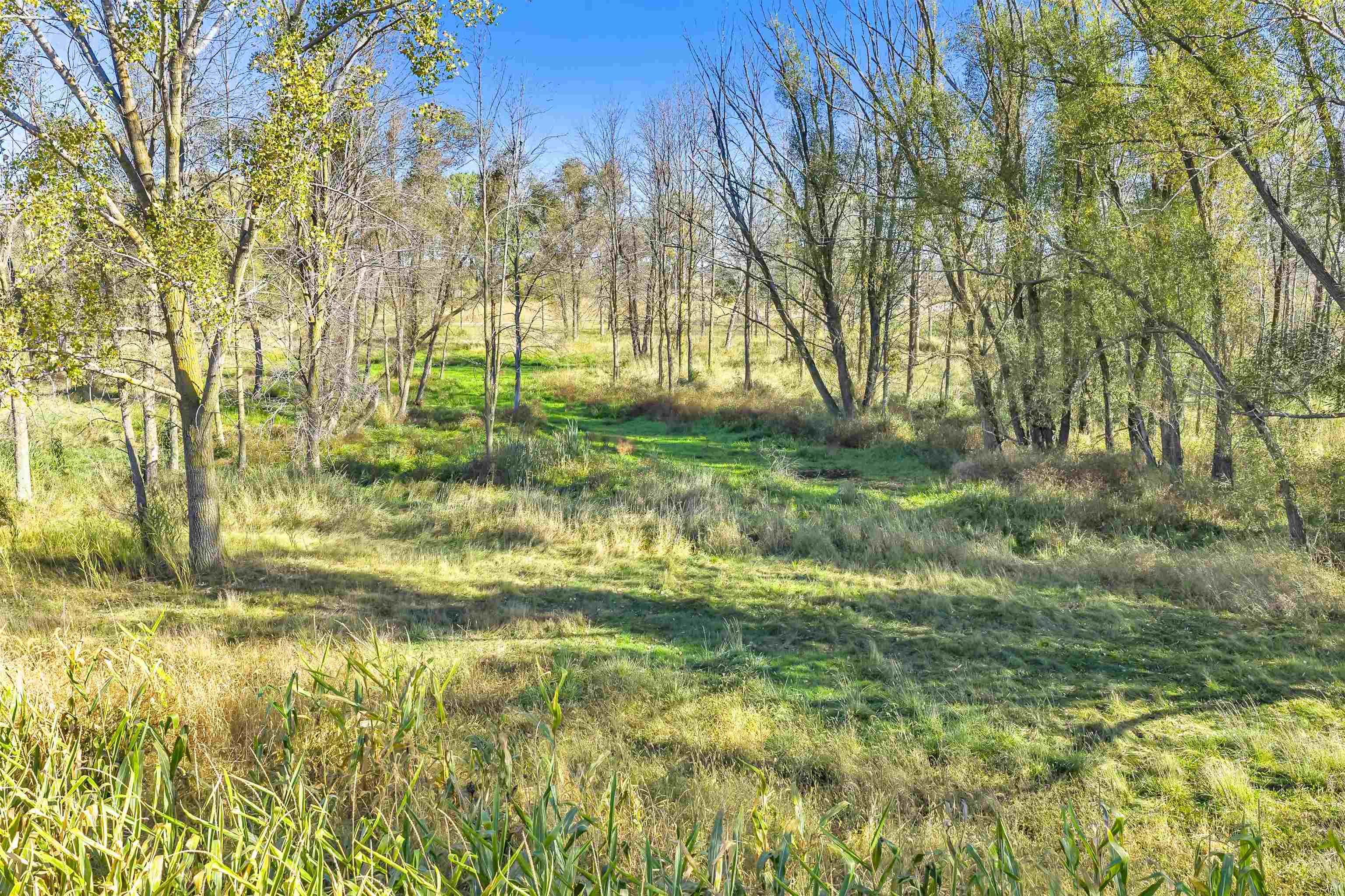 Phillips Rd Green Green Bay, WI 54311 - Photo 7 of 12