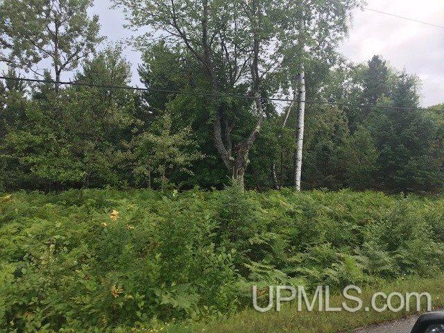 1810 Iron Lake Road Iron River, MI 49935 - Photo 29 of 32