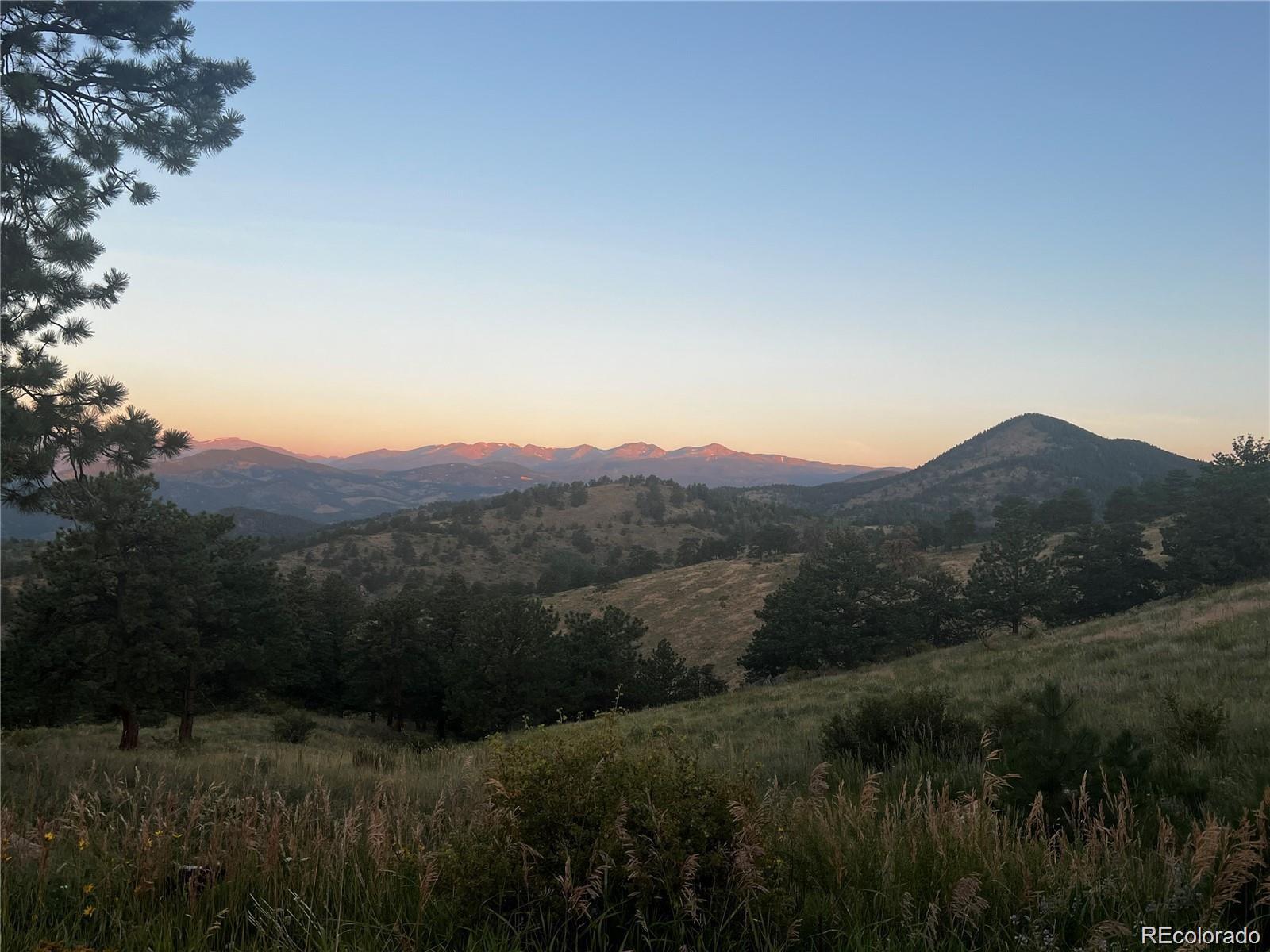 401 Raptor Point Golden, CO 80403 - Photo 39 of 40 a view of a backyard with green space