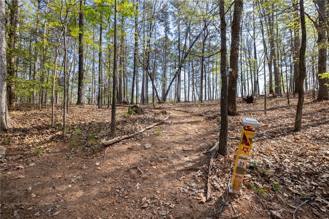3 Halyard Way Salem, SC 29676 - Photo 25 of 48 Backyard trails to enjoy the 1+ acre property