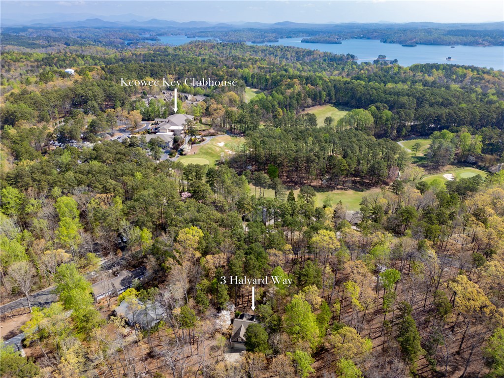 3 Halyard Way Salem, SC 29676 - Photo 33 of 48 steps from the south walking trail and close to the clubhouse and golf center