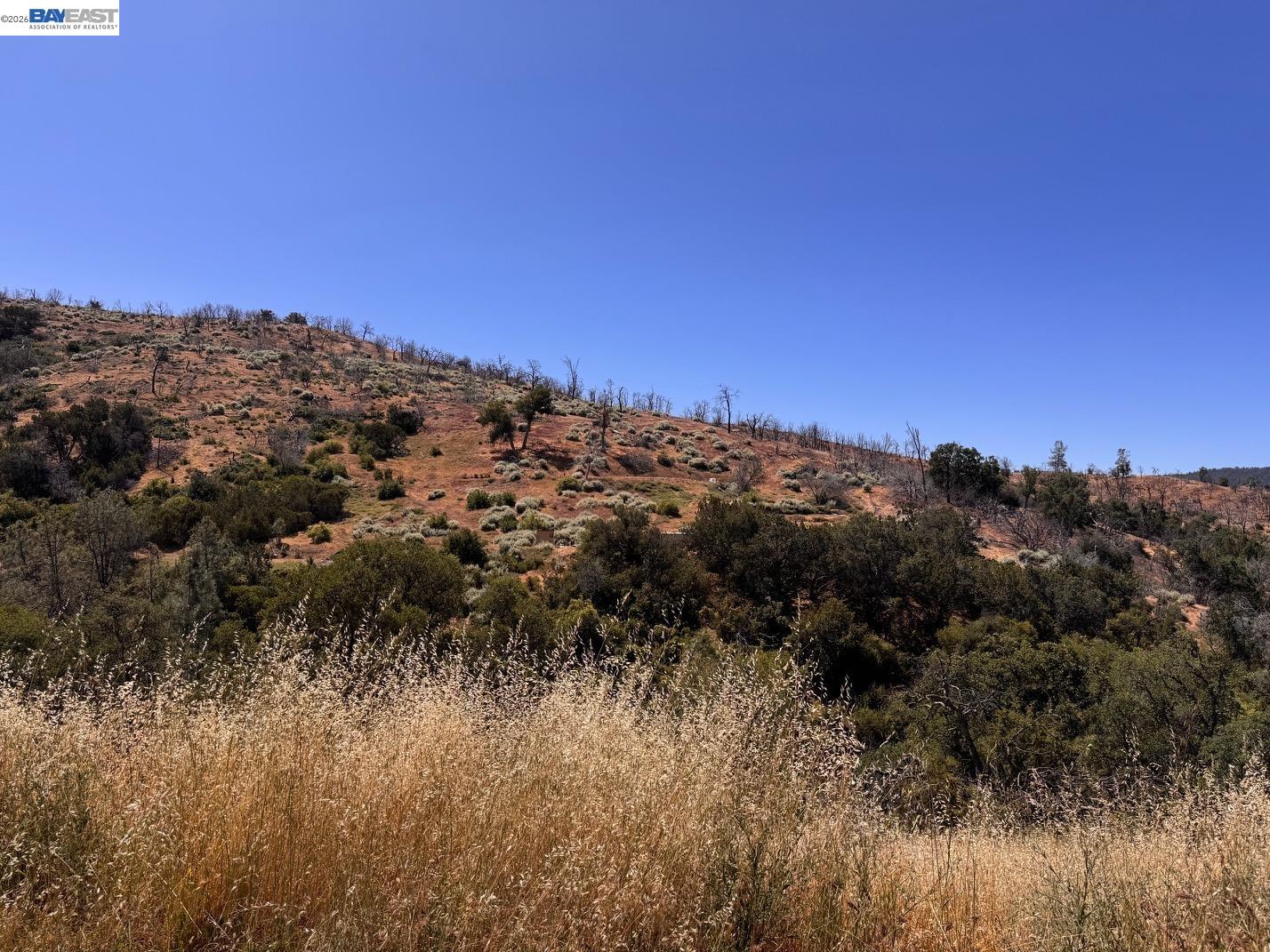 21810 Mines Road Livermore, CA 94550 - Photo 7 of 11 a view of a bunch of trees in background