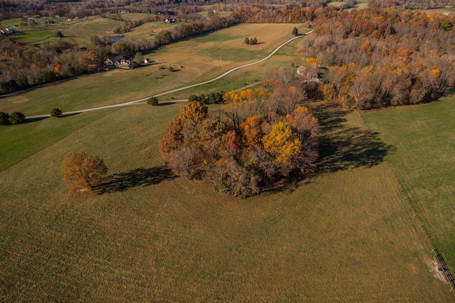 7330 Hoods Branch Road Springfield, TN 37172 - Photo 14 of 25 Gallery Image 14