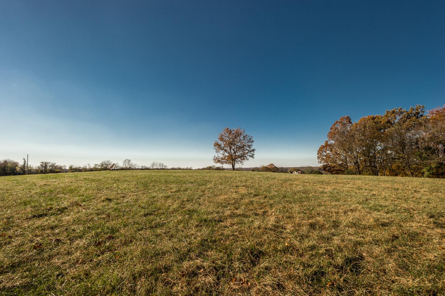 7330 Hoods Branch Road Springfield, TN 37172 - Photo 16 of 25 Gallery Image 16