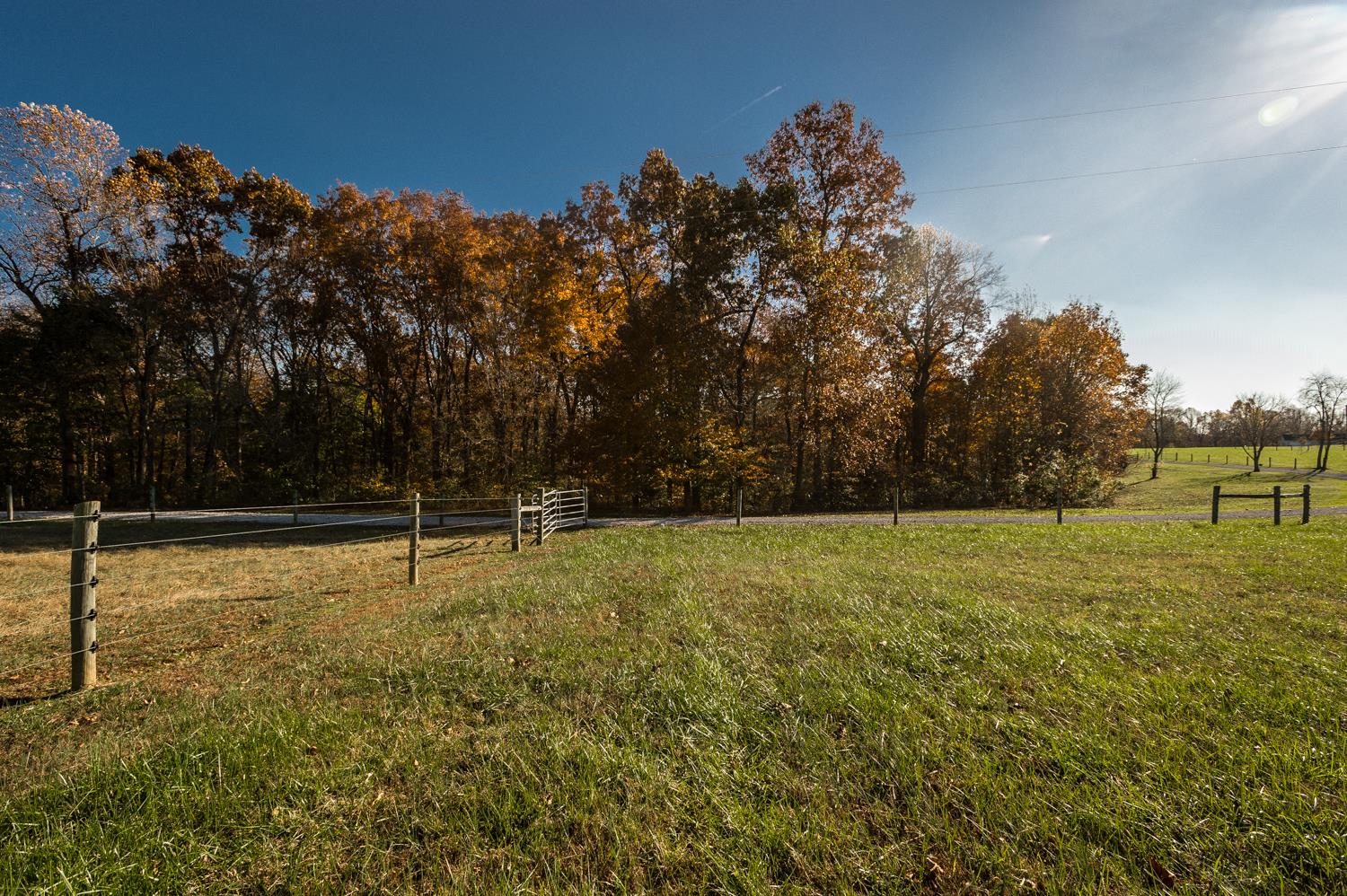 7330 Hoods Branch Road Springfield, TN 37172 - Photo 24 of 25 Gallery Image 24