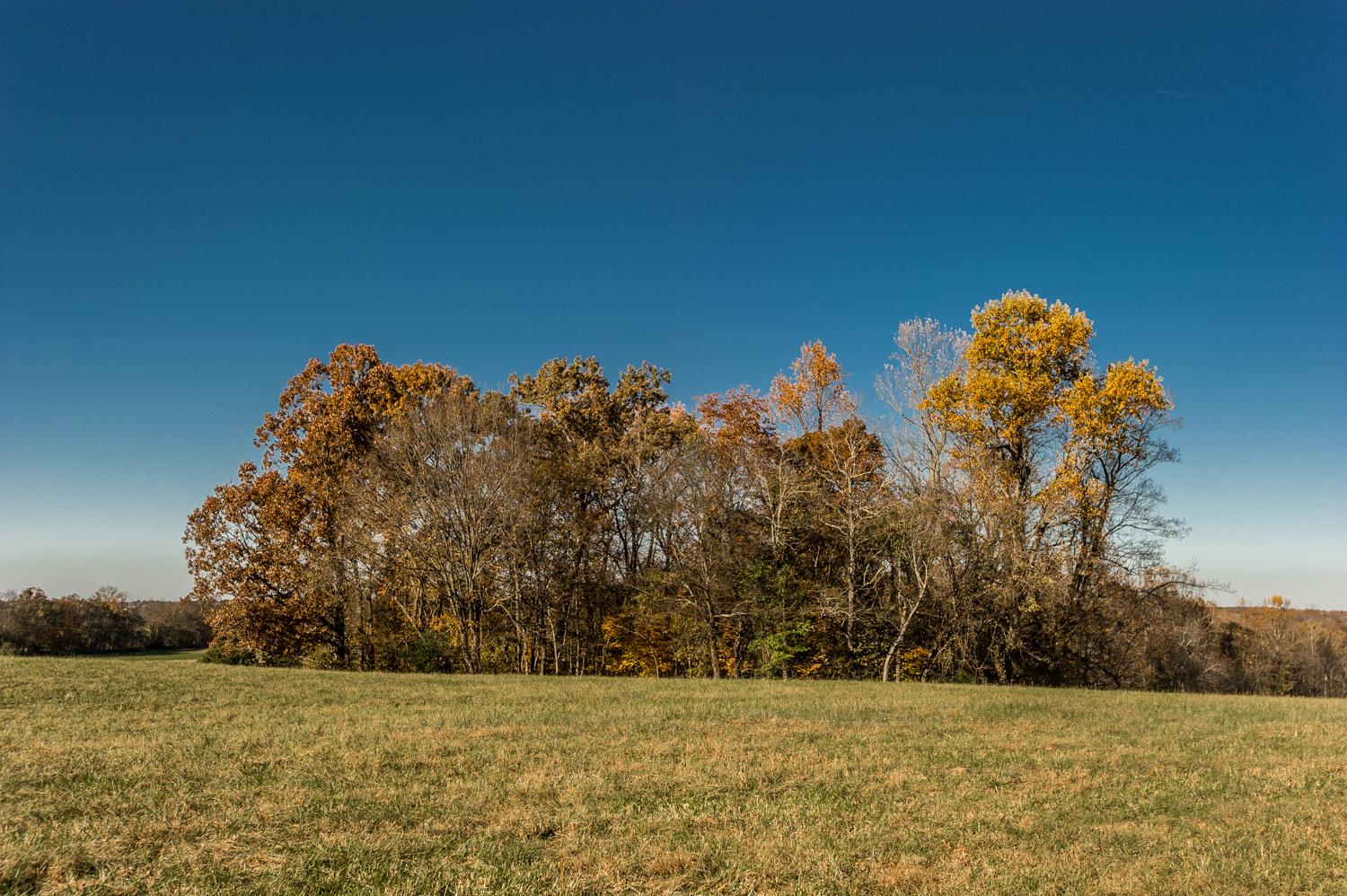 7330 Hoods Branch Road Springfield, TN 37172 - Photo 25 of 25 Gallery Image 25