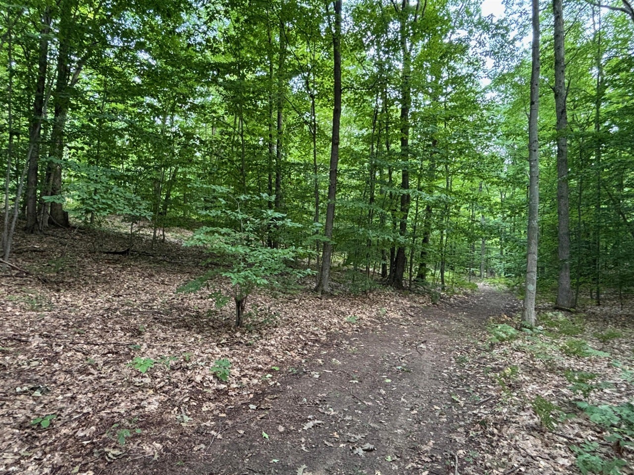 2905 East Jackson Road Walkerville, MI 49459 - Photo 58 of 64 Gallery Image 58
