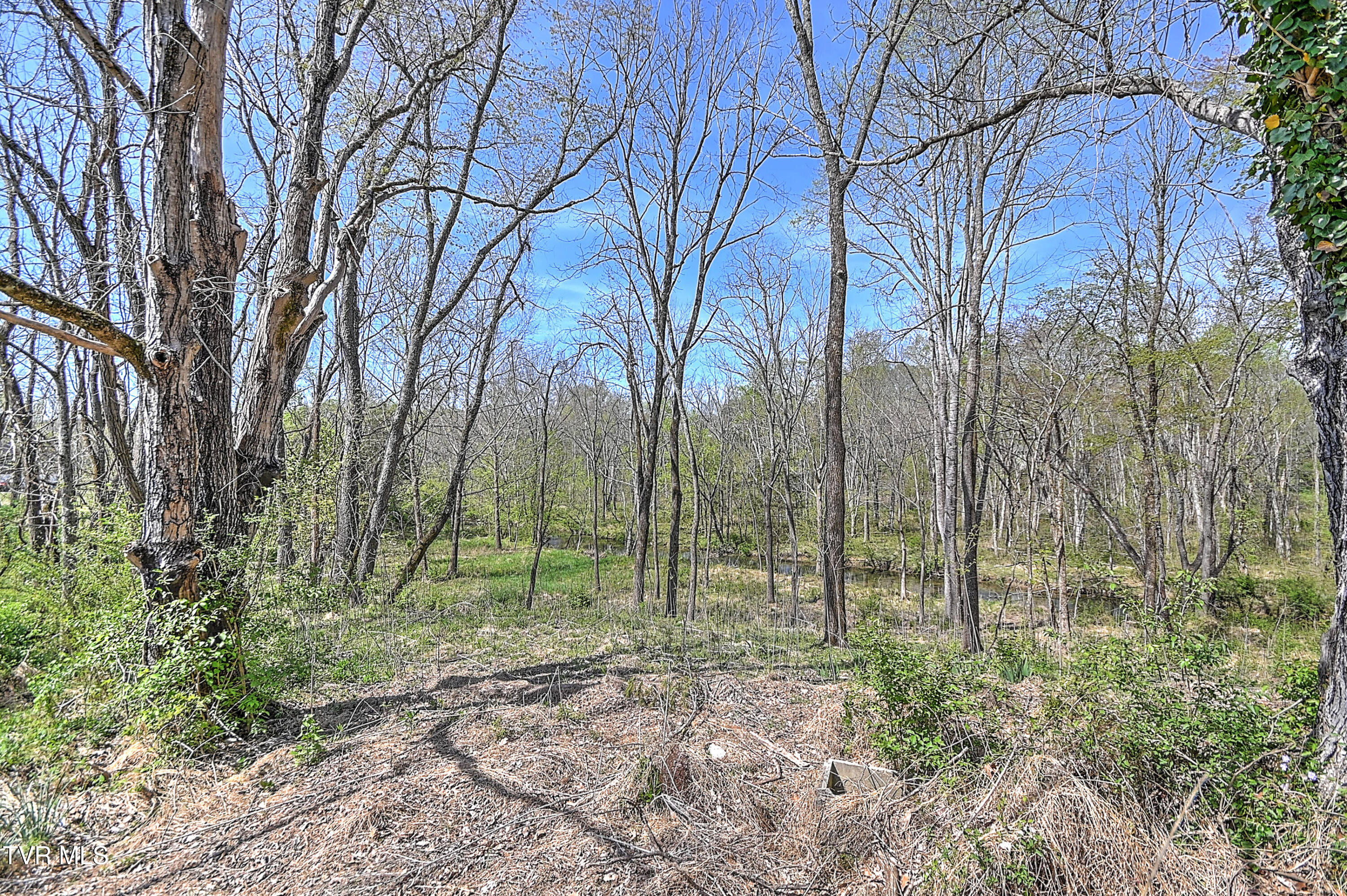 2061 King College Road Bristol, TN 37620 - Photo 66 of 80 2061 King College DB-67