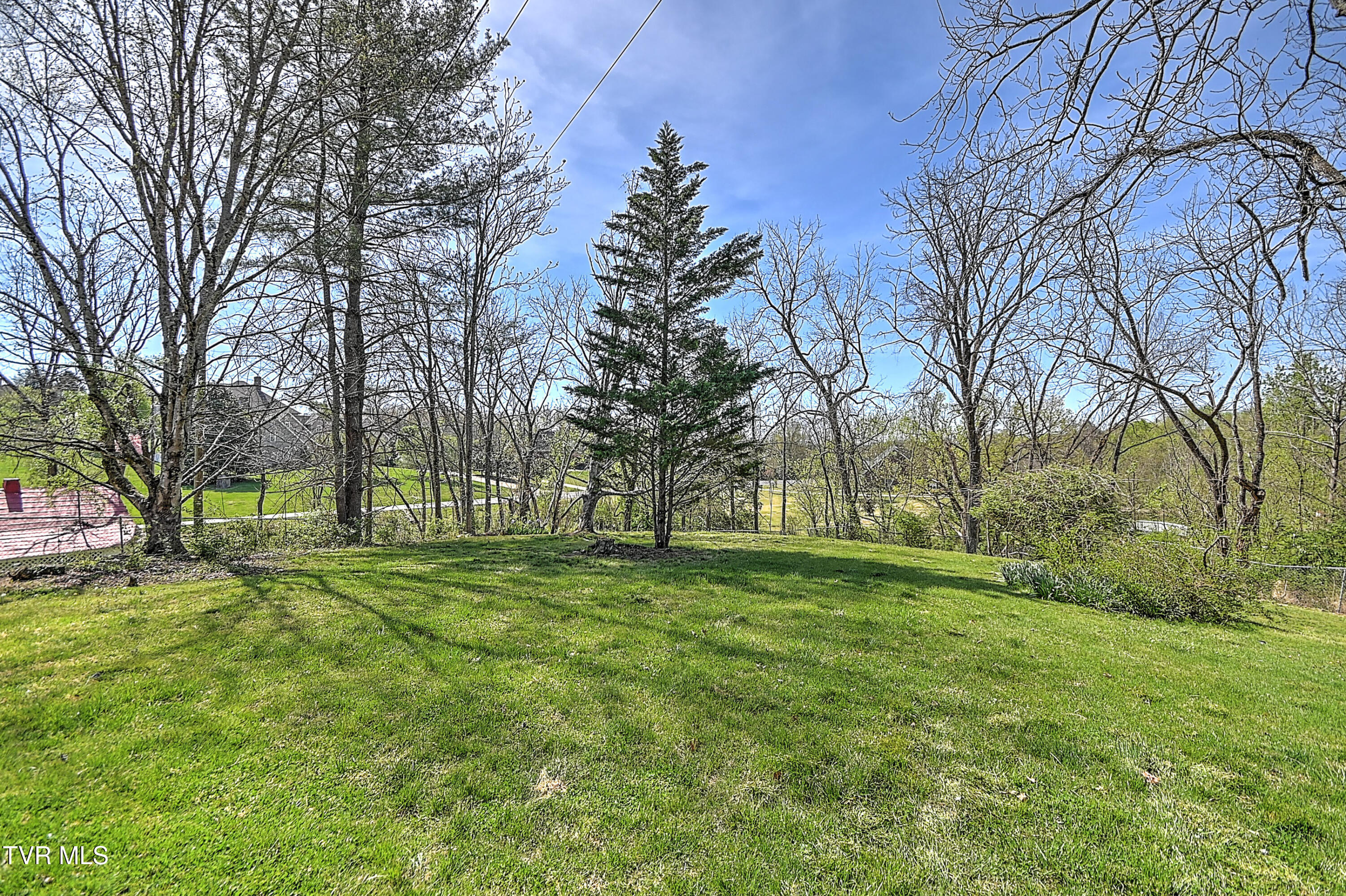 2061 King College Road Bristol, TN 37620 - Photo 68 of 80 2061 King College DB-69