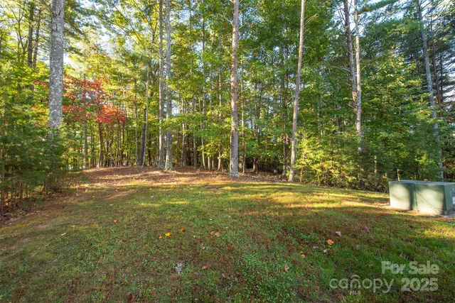 a view of a trees in a yard