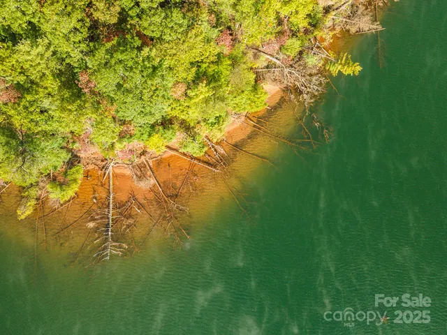 a yard with a trees in the background